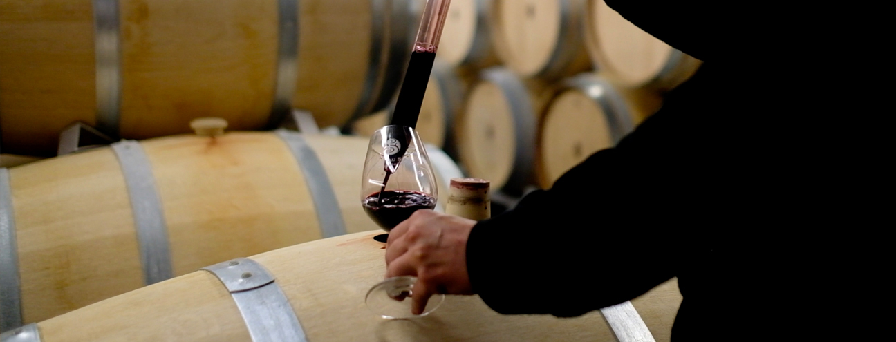 Dégustation d'un vin de Château Siran tiré au fût, au chai