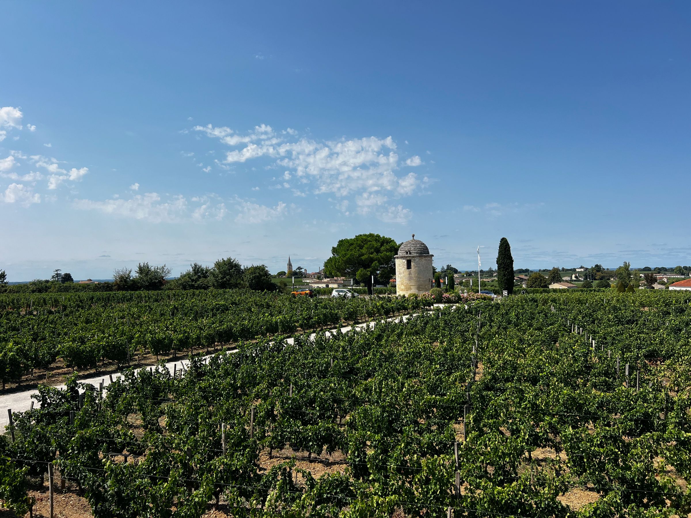 Vignoble de Saint-Émilion, tour de pierre et clocher au loin sous un ciel d'été